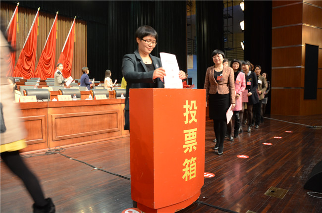 ������ѡ��ͶƱ